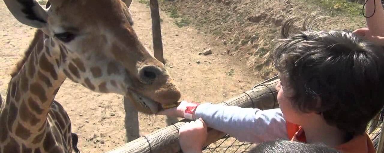 Día del Niñ@ en Terra Natura Murcia